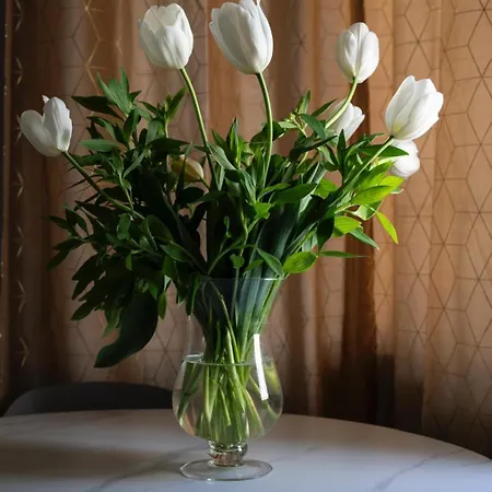 Center Boutique Sul Fiume *